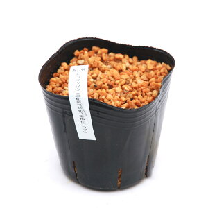 iR쑐jJ}c\Eij@Ԕd~ԃJ}c@3i1|bgjixԁj