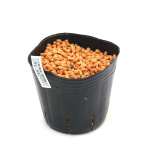 iR쑐jJ}c\Eij@ZFd~ԃJ}c@3i1|bgjixԁj