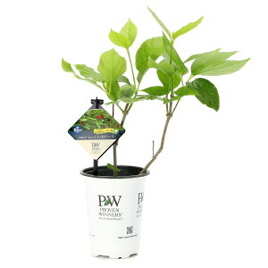 i~́jEoC@NoiEoCiX~j@AtfB[e@4i1|bgjixԁj