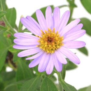 iR쑐jLNiej@qmRMNiP썮ej@P@3i3|bgjixԁj