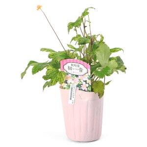 iR쑐jVECMNiHej@@3i3|bgjixԁj