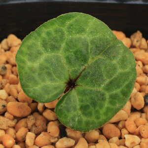 iR쑐jJAICijAc~JAICigj@Tb@3i1|bgjÓT|