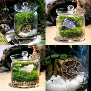 iϗtAjۃeE@n̗j悤@z΁E΃CAEg3Zbg@AiCgXCX@sXY@@ĕ̐ti1Zbgj