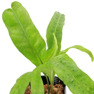 iR쑐jV_irjILiE{V@nCYiEAGj@4i1|bgj