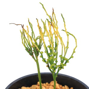 iR쑐jV_irj}co@iO@3i1j