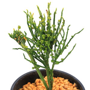 iR쑐jV_irj}co@iَq@3i1j