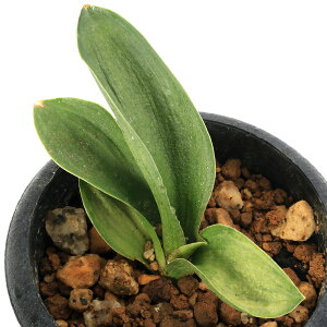 iR쑐jinIg@VRiNVRj2D5`3i1|bgj