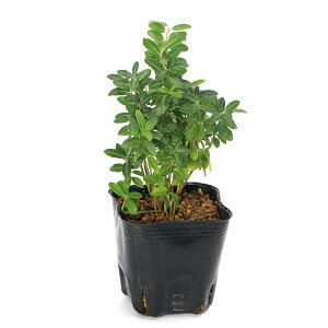 iR쑐jCkcQiѐAj@3i1j