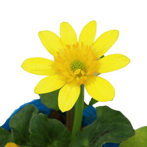 iR쑐jփqELJi}[j@2D5`3i1|bgjixԁj