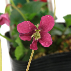 iR쑐jX~i俁jrIE\A@bhWCAg@2D5`3i1|bgjixԁj