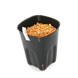 iR쑐jeiVEiV쐯jII~leiVEiV쐯jSSTCY@1@3i1|bgjixԁj