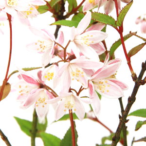 i~́jTTEcM@xjKX~iXы؁j@3`5i1jixԁj