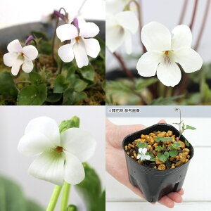 iR쑐jX~i俁jԌn3Zbg@2D5`3i3|bgZbgjixԁj