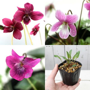 iR쑐jX~i俁jgԌn3Zbg@2D5`3i3|bgZbgjixԁj