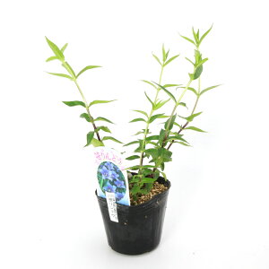 iR쑐jhEi_jhE@3i1|bgjixԁj