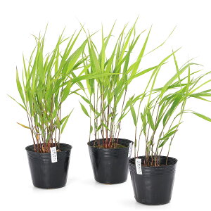 iR쑐jtE`\EimjtE`\Eimj@2D5i1|bgjixԁj