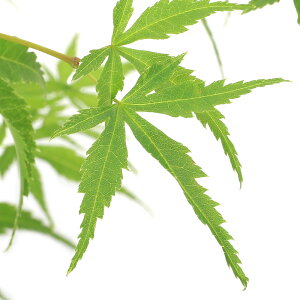 i~́j~W@|bg@gRixjZCKCj4`5i1jsixԁj