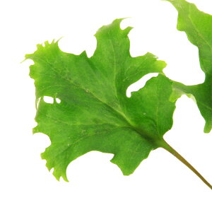 iR쑐jV_irjCI_Jiʍjdq@3i1|bgjΐN