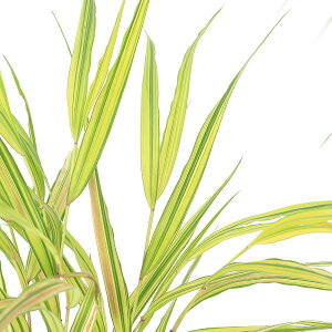 iR쑐jtE`\EimjttE`\Eitmj2D5`i1|bgjixԁj