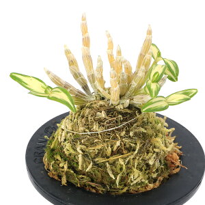 iR쑐j`EZCij@OiRN{^j@3i1jixԁj