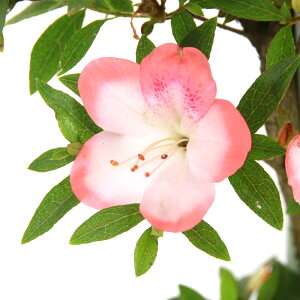 i~́jTcLiHj@5i1jixԁj