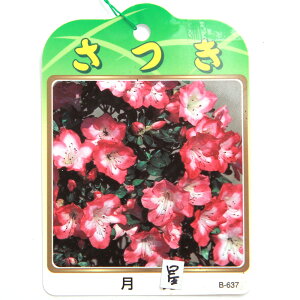 i~́jTcLiHj@5i1jixԁj