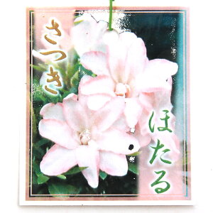 i~́jTcLiHjق@5i1jixԁj