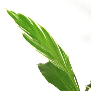 iR쑐jR؁@~EK@zCgtFU[@3i1|bgjƒ؉