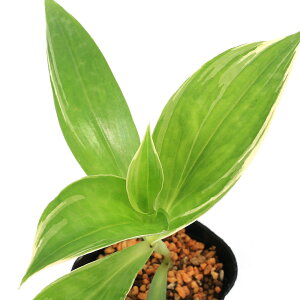 iR쑐jzggMXimCj^JN}zggMXi荂GmCj@3i1|bgjixԁj