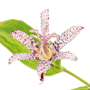 iR쑐jzggMXimCj@Tc}zggMXiFmCj@3i1|bgj