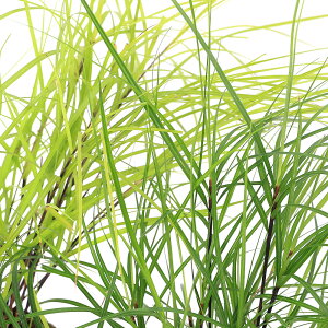 iR쑐jVXQ@3i1|bgjixԁj