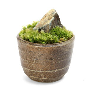 i~́jۖ~́@R΁@LvqĐAؔiYji1j