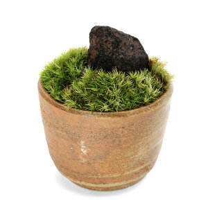 i~́jۖ~́@n΁@LvqĐAؔiҌji1j