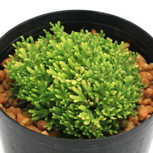 iR쑐jV_irjinCqo@WaiLREfj2D5`3i1|bgjÓT|