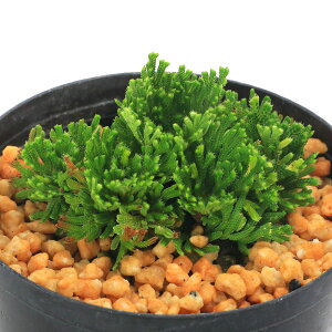 iR쑐jV_irjinCqo@cPiRELj2D5`3i1|bgjÓT|