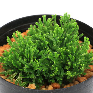 iR쑐jV_irjinCqo@iIEJj2D5`3i1|bgjÓT|