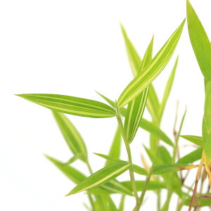 iR쑐j~́@q^PiP|j@3i1|bgj