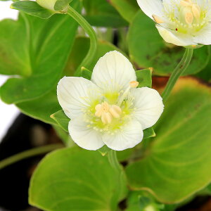 iR쑐j_ÃEo`\Ei~j@3i1|bgj