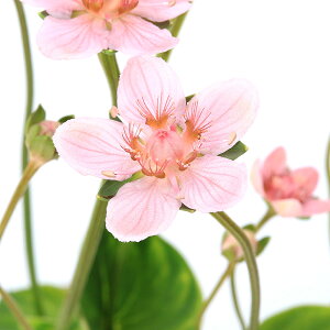 iR쑐j_ÃEo`\E@ԉԁ@3i1|bgj