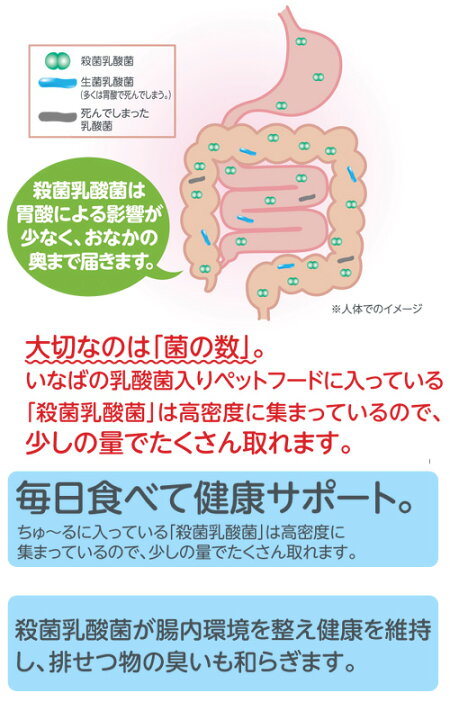 いなば CIAO チャオ ちゅ〜ぶ 毛玉配慮 まぐろ 80g 関東当日便 charm CIAO(チャオ) ちゅ〜ぶ 毛玉配慮 まぐろ 80g