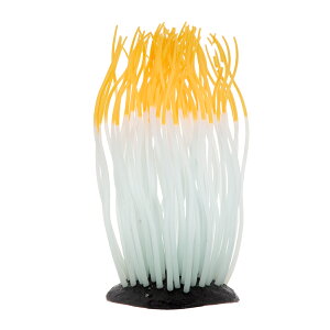 J~n^@񂿂Ⴍ@L@IW@pIuWF@ANAEpi@֓