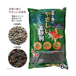 J~n^@Ƌɂ₳ʍ@6kg@@֓