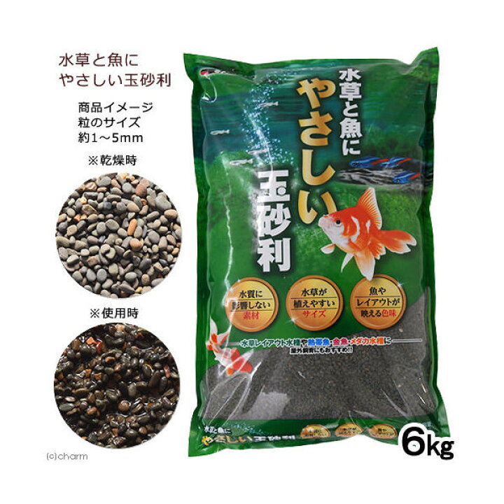 再入荷 細目 シンセー 大磯 ６ｋｇ お一人様３点限り レイアウト用品