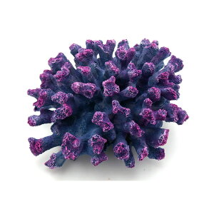 [XC@ZEST@vJTS@M|1@֓