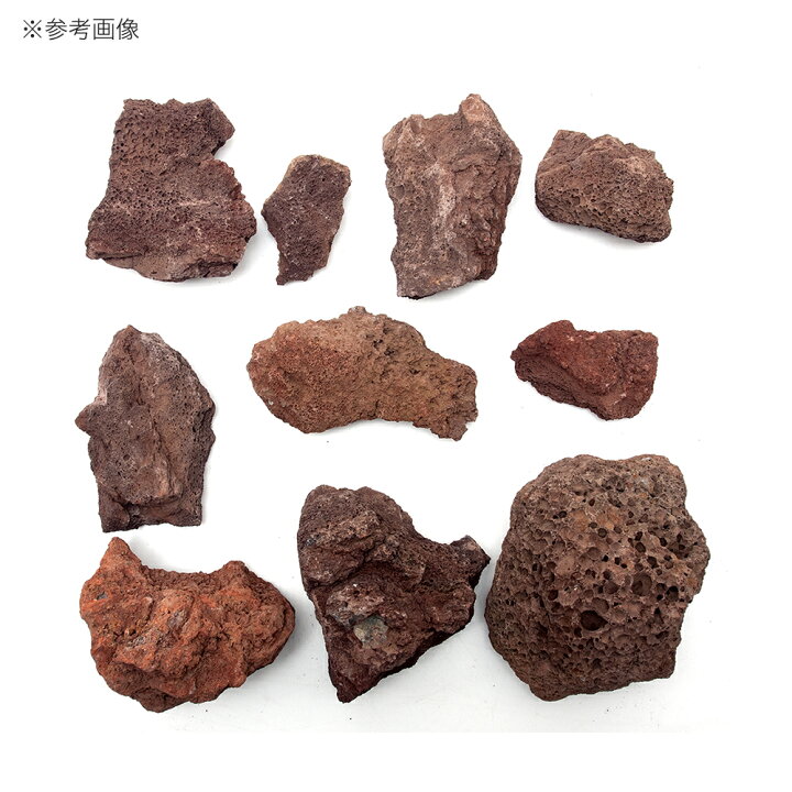 市場 Gex 大 赤 バクテリア付溶岩石 観賞魚用品 ジェックス 市場 Gex 大 赤 バクテリア付溶岩石 観賞魚用品 ジェックス