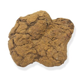 形状お任せ　裂甲石　Lサイズ（約15～20cm）　1個　レイアウト素材　爬虫類【HLS_DU】　関東当日便