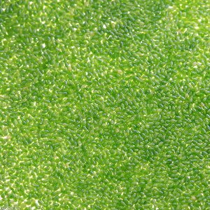 ij_JԓVRt[h@~WRELNTi_ji1ܕj