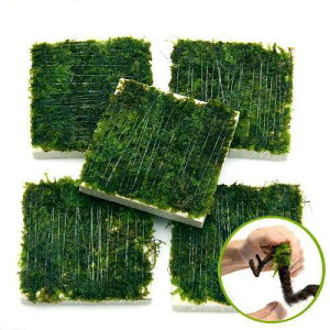 ijā@ăEB[X@^Citji_ji3j