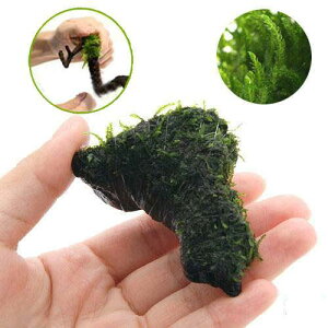 ijā@t[Xt@؁@~jTCYi5`8cmji_ji3{j