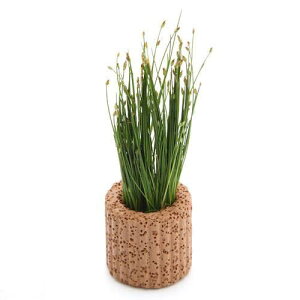 ijCt}`ijwA[OXitji_ji1j